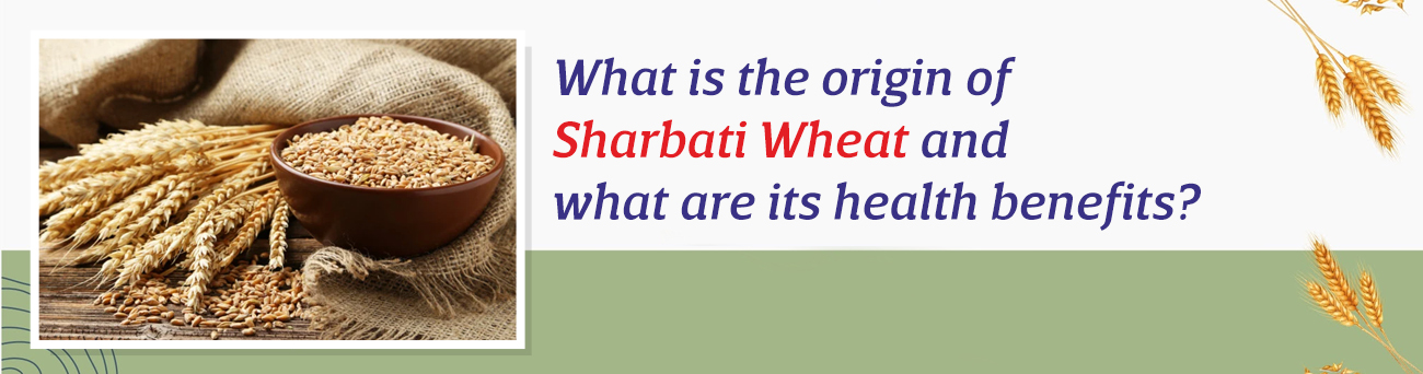 What is the origin of Sharbati Wheat and what are its health benefits?